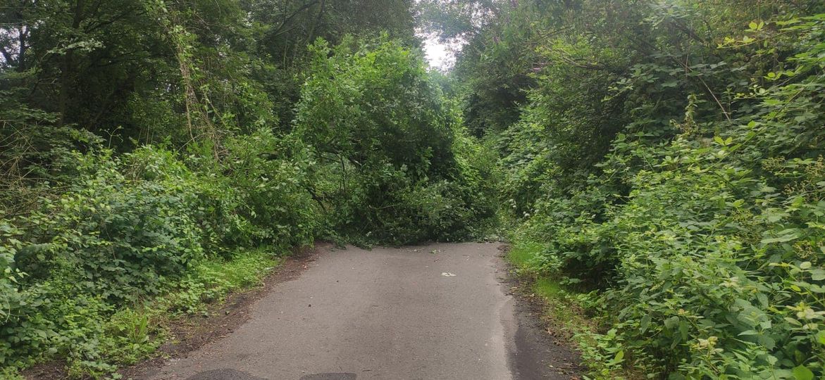 Einsatz 17/2023 umgestürzter Baum